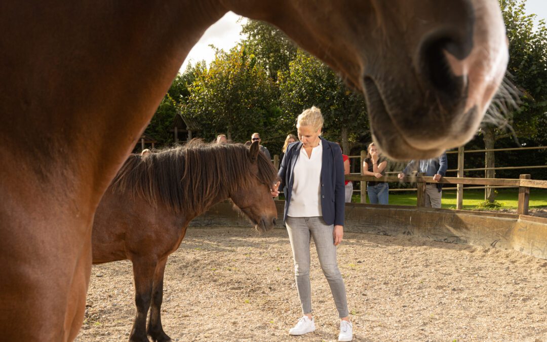 'De confrontatie met het paard was bitterzoet, maar precies wat ik nodig had'