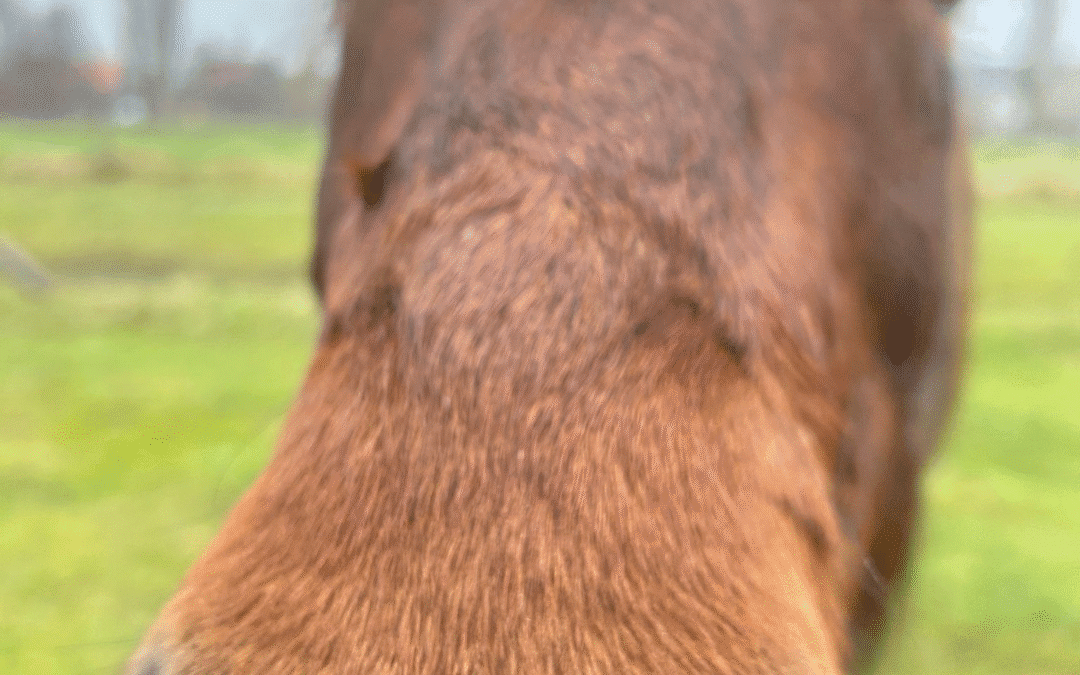 Personeel behouden? Begint met leiderschap.